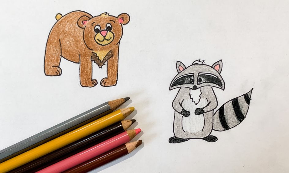 Drawing for Beginners Forest Animals! Small Online Class for Ages 6