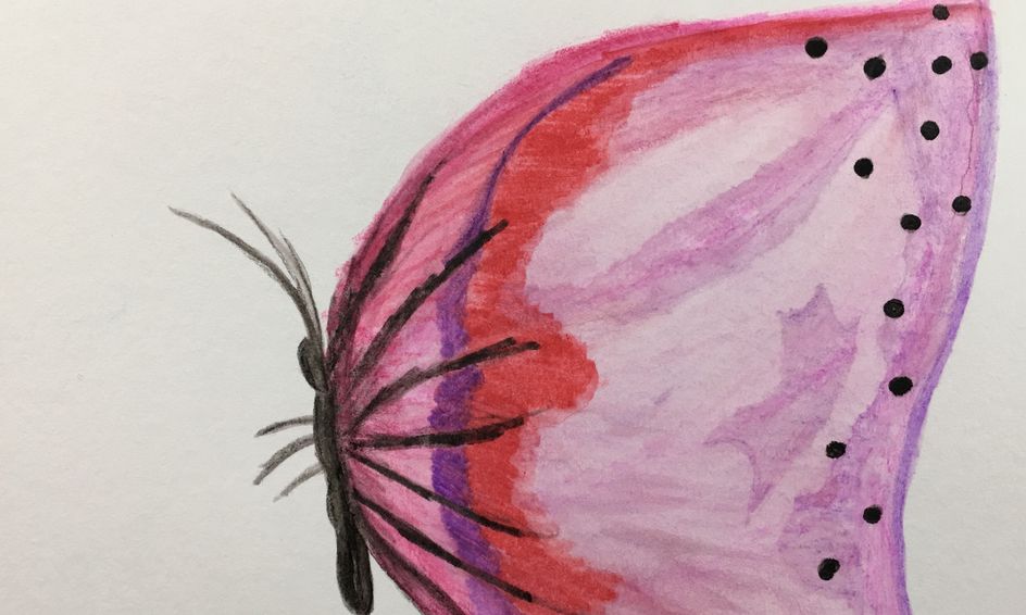 Watercolor Animals Camp Elementary Flex Class Part 1 By The