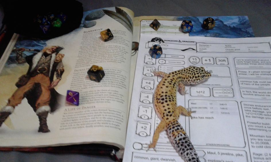 Dungeons And Dragons 5e Creating A Character Small Online Class