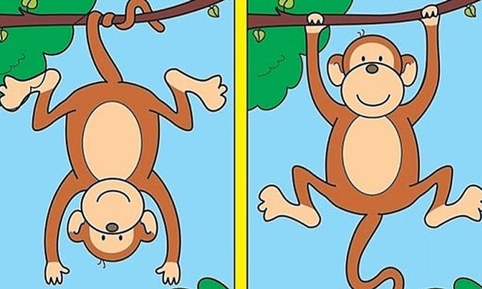 Oh My Opposites Small Online Class For Ages 3 7 Outschool