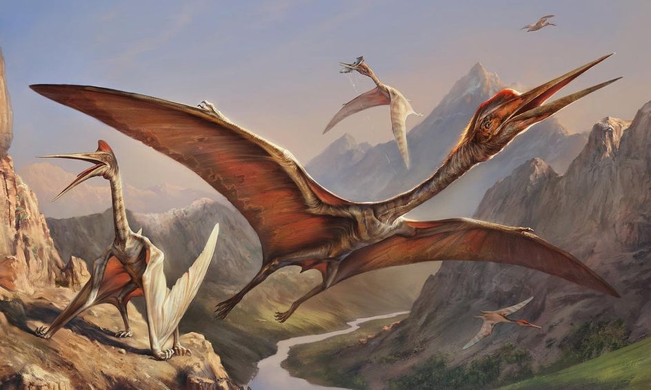 biggest flying dinosaur in the world
