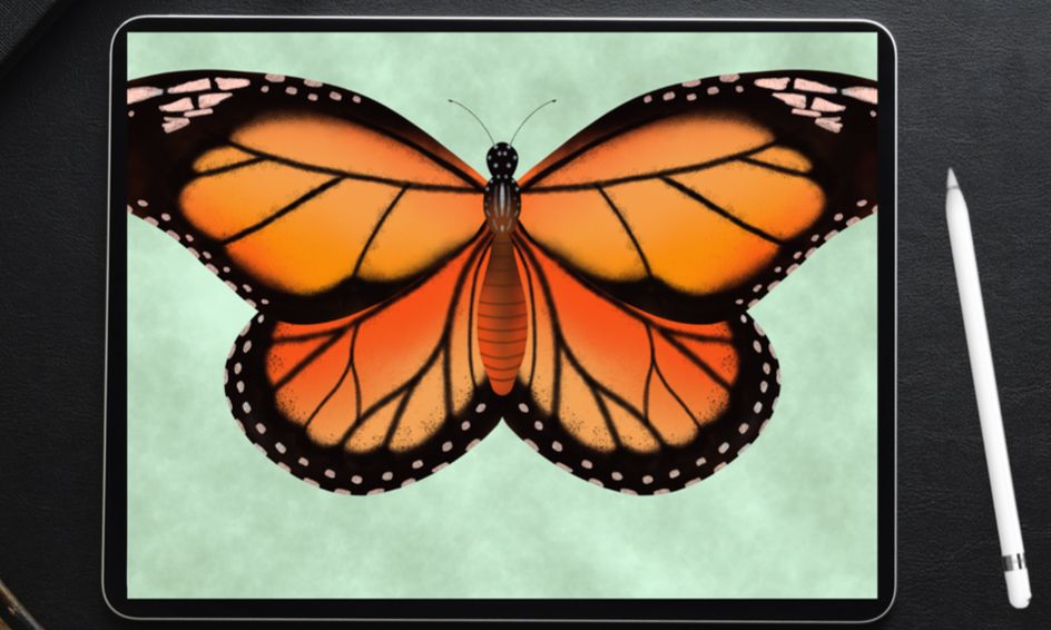 Download Let S Make Procreate Digital Art A Beautiful Butterfly Small Online Class For Ages 9 14 Outschool