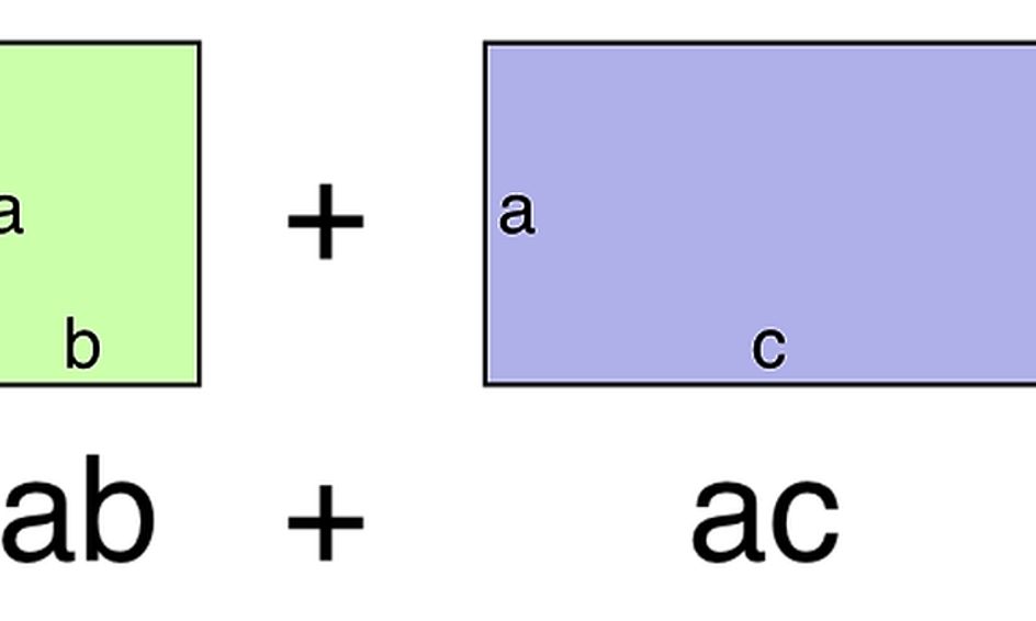 the-distributive-property-a-visual-approach-small-online-class-for-ages-10-14-outschool