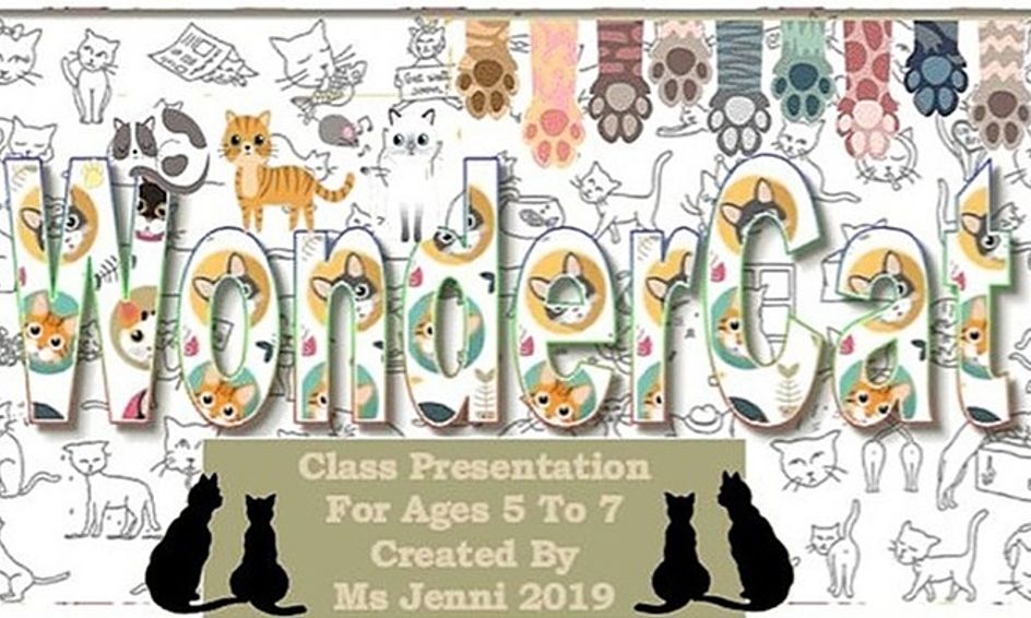 Wondercat Cat Show N Tell And Much More Ages 5 To 7 Super