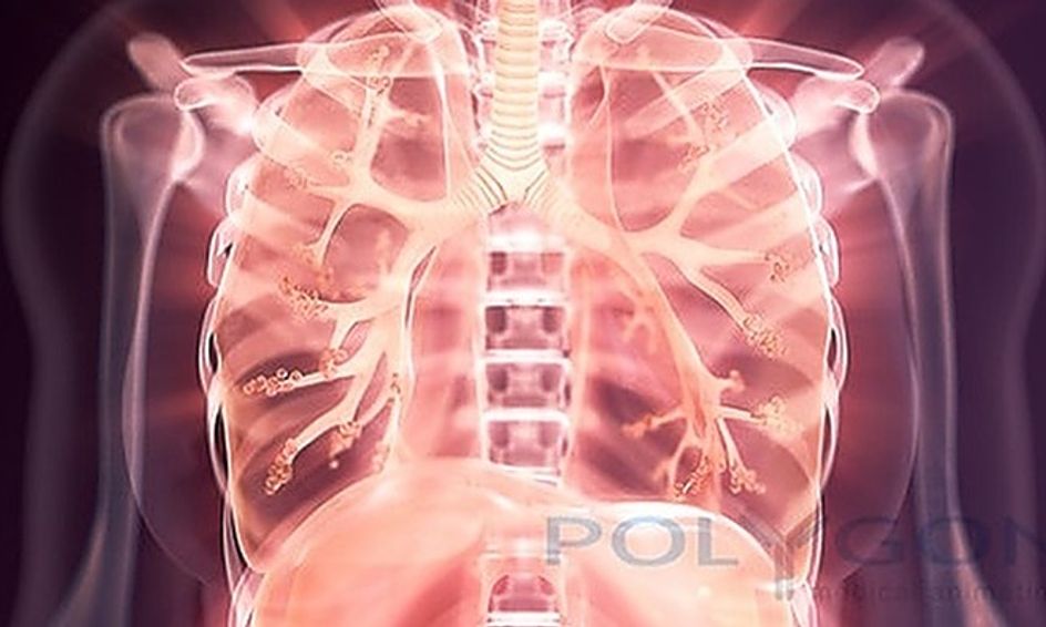 Take A Breath Anatomy And Physiology Of The Respiratory System