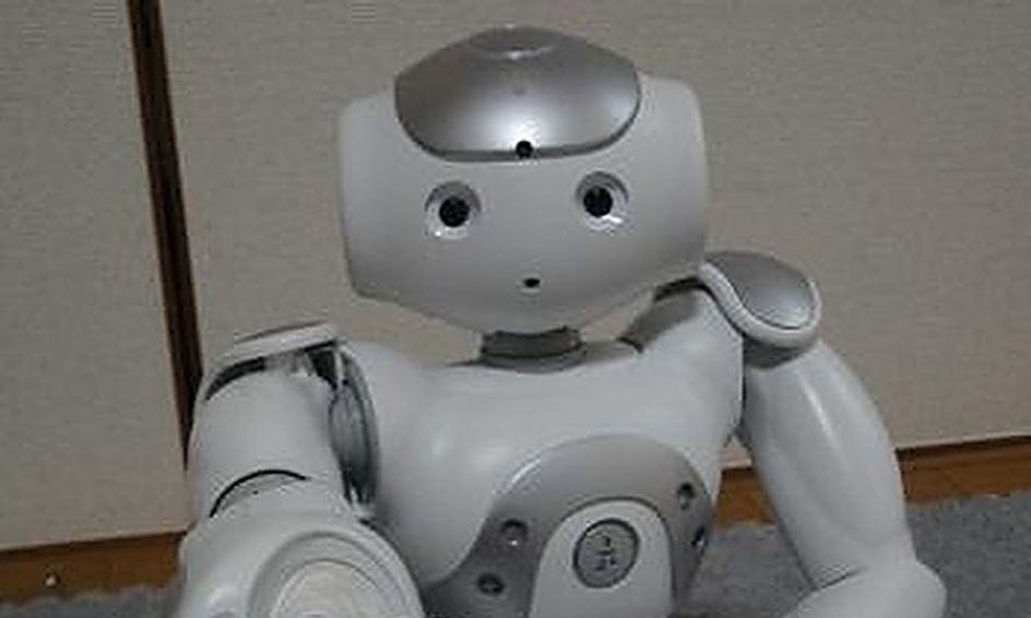 Introduction To Humanoid Robot Nao Small Online Class For