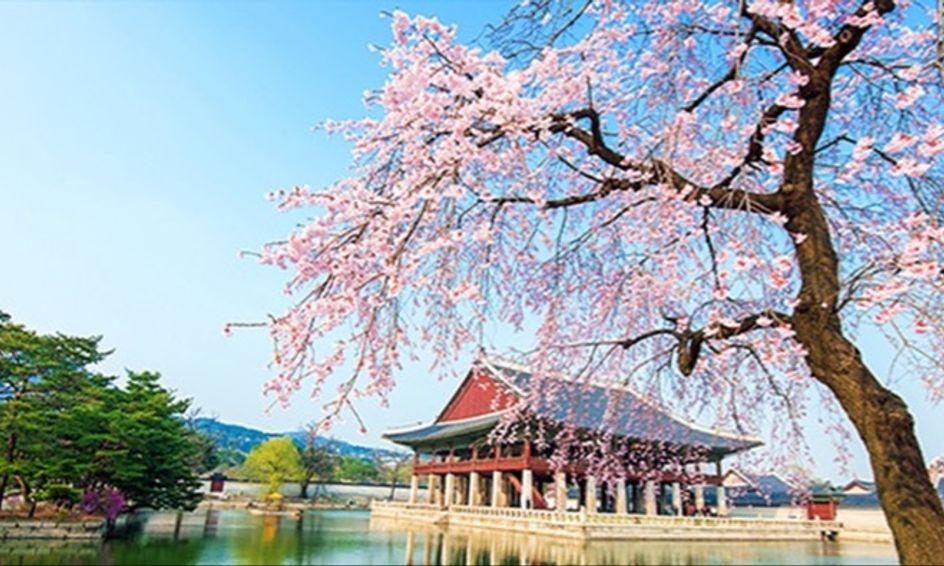 Let S Learn Korean Level 1 Small Online Class For Ages 12 17
