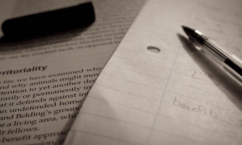 One On One Essay Writing Assistance Small Online Class For Ages