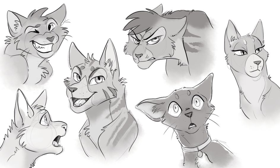Warrior Cats Club! | Small Online Class for Ages 9-14 ...