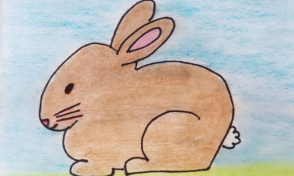 let s draw together directed drawing through the alphabet r is for rabbit small online class for ages 4 7