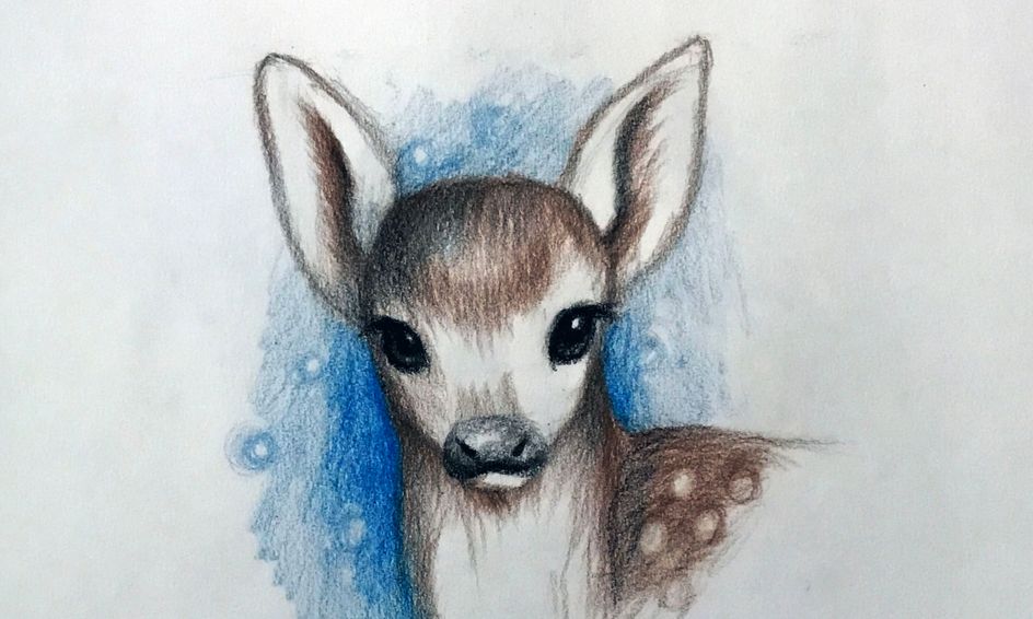 Christmas Season Learn How To Draw A Baby Deer Small Online Class For Ages 8 13 Outschool Draw another straight line downward from the string. christmas season learn how to draw a baby deer small online class for ages 8 13
