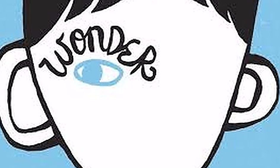 Wonder Ful Novel Study Small Online Class For Ages 9 13 Outschool