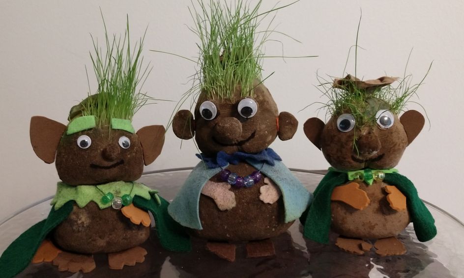 Grow A Troll Small Online Class For Ages 7 9 Outschool