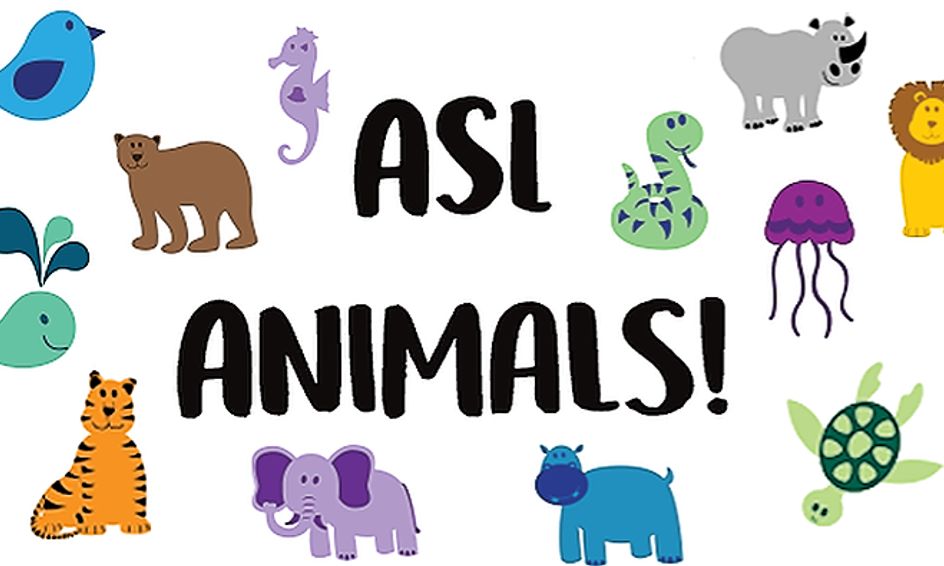 asl-animals-learn-animal-signs-in-american-sign-language-small-online-class-for-ages-3-8