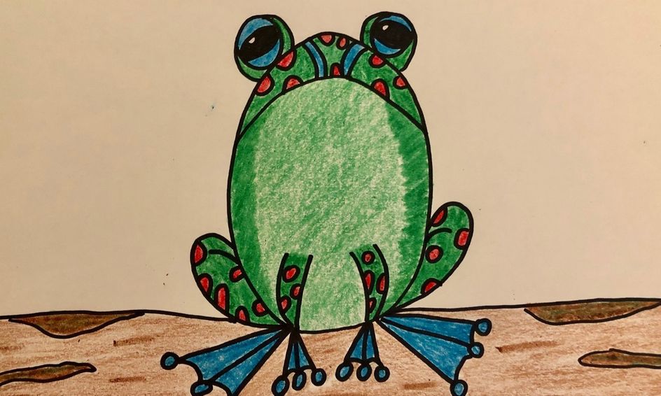 Draw A Tree Frog Small Online Class For Ages 7 11 Outschool