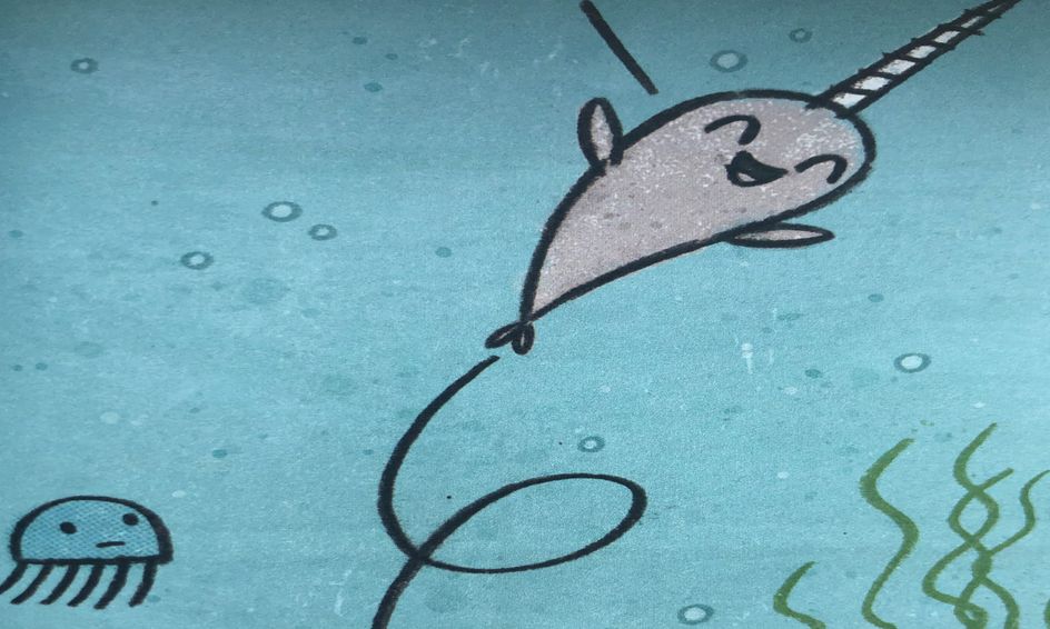 Narwhal Unicorn Of The Sea Listen Learn And Draw Small