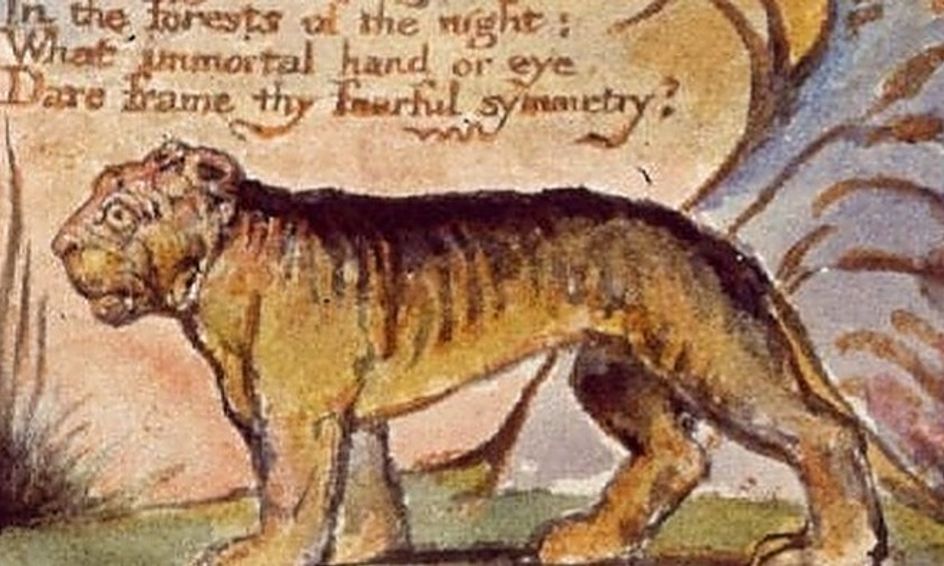 picture Tyger Tyger Burning Bright Poem poetry tyger tyger burning bright the tyger by william blake small online class for ages 13 16