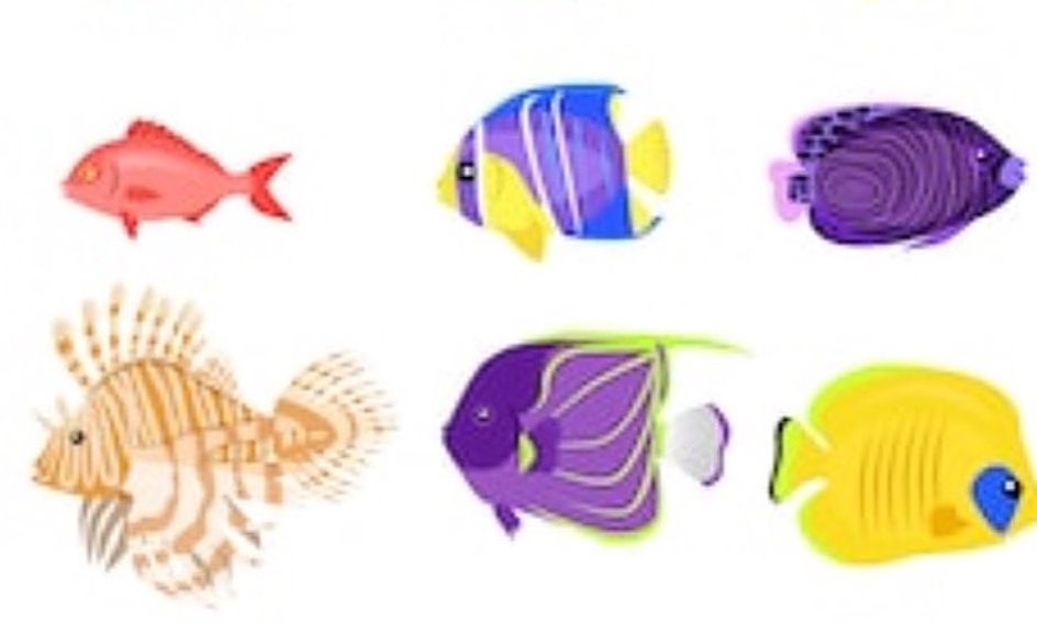 Drawing Sea Creatures Small Online Class For Ages 5 10 Outschool