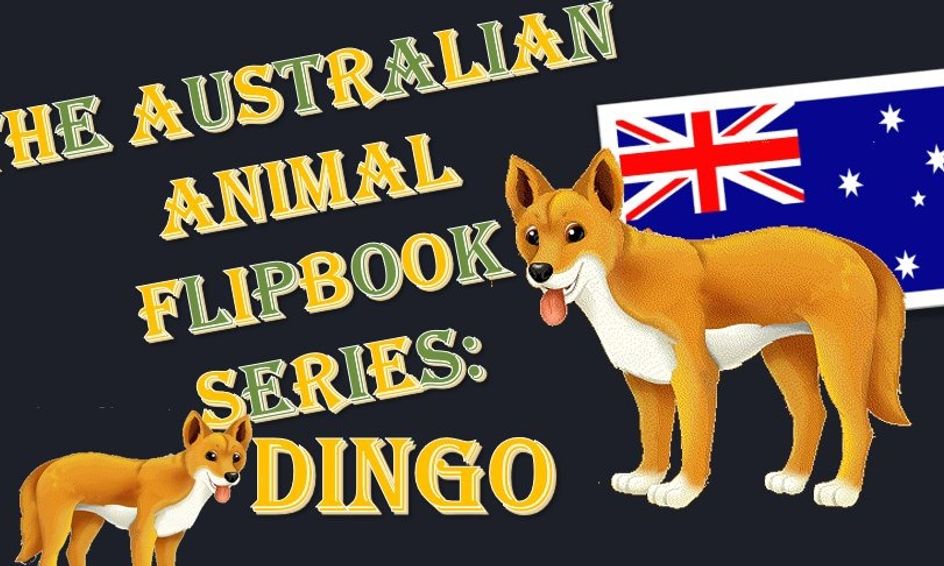 Australian Animal Flip Book Series: Dingo | Small Online Class for Ages