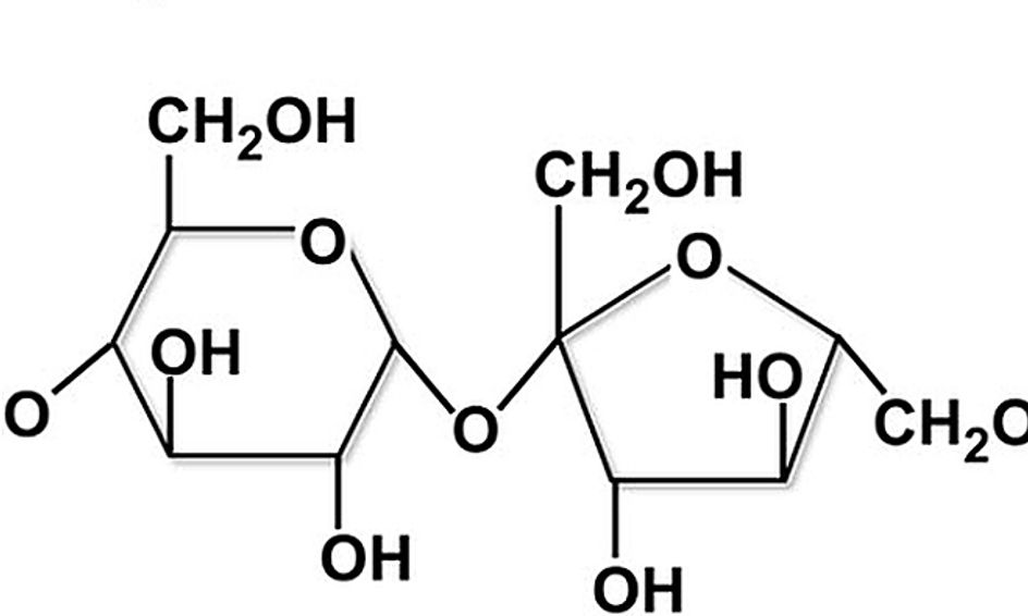 Introduction To Organic Chemistry Carbohydrates Small Online