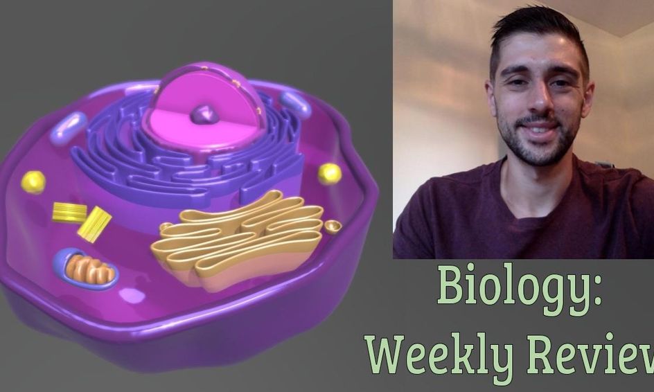 Biology Weekly Review Small Online Class For Ages 12 17 Outschool