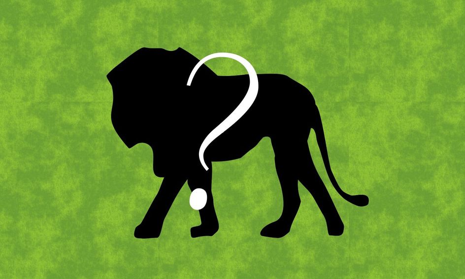 Zoo Animal Guessing Game | Small Online Class for Ages 7-8