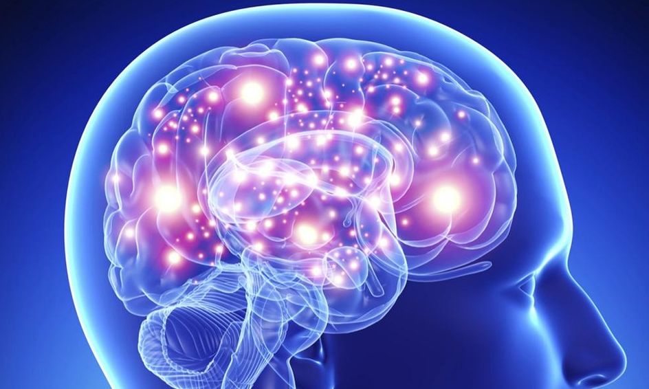 Intro To Psychology Small Online Class For Ages 14 18 Outschool