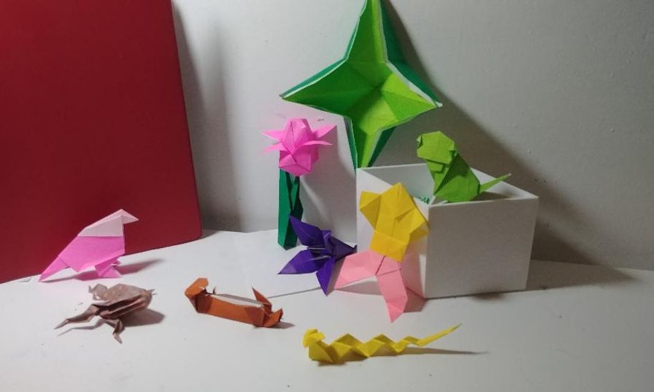 Welcome to the Fold: Origami Summer Camp 2--Advanced Beginner | Small