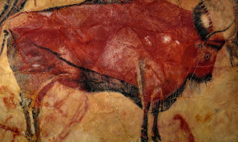 Hands On Art History The Cave Paintings Of Altamira And Lascaux Small Online Class For Ages 8 12 Outschool