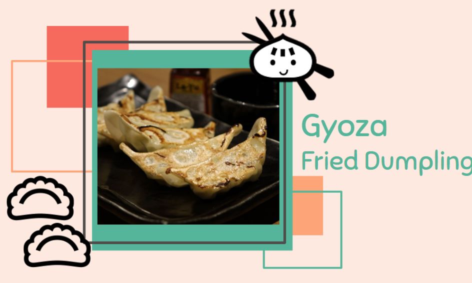 Fun Cooking Japanese Gyoza Fried Dumplings Potstickers Small