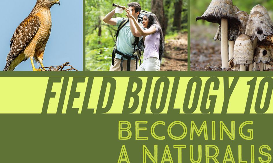Field Biology 101 Becoming A Naturalist Small Online Class For Ages 8 12 Outschool