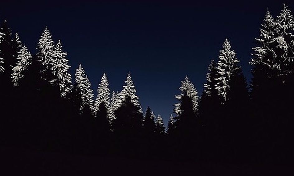 Winter S Night Acrylic Class Small Online Class For Ages 11 16