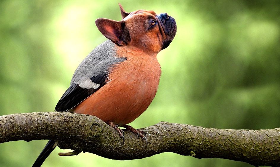 beginner photoshop private lessons small online class for ages 11 16