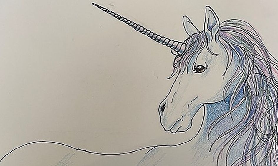Draw A Beautiful Unicorn Small Online Class For Ages 11 15