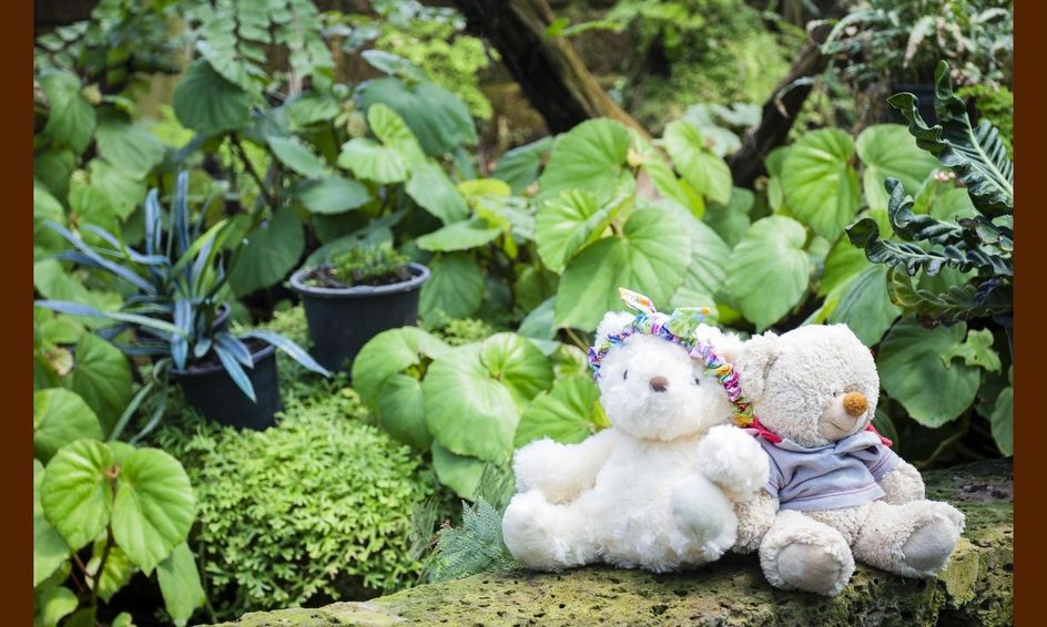 I Dig Gardening Fall Gardening And Design Small Online Class For Ages 6 9 Outschool