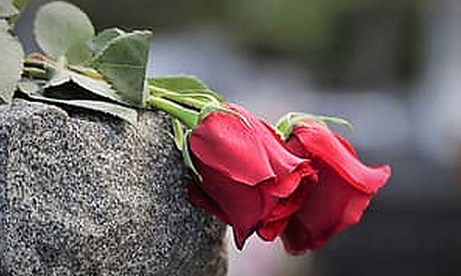 Romeo And Juliet Shakespeare Made Easy Small Online Class For