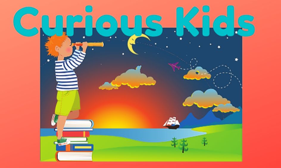 Curious Kids The Physics Of Bridges Small Online Class For Ages