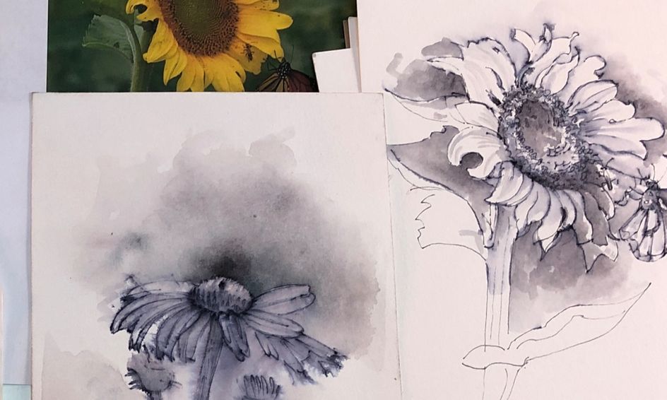 Draw What You See Loose Accurate And Fun Part 1 Flower Drawing
