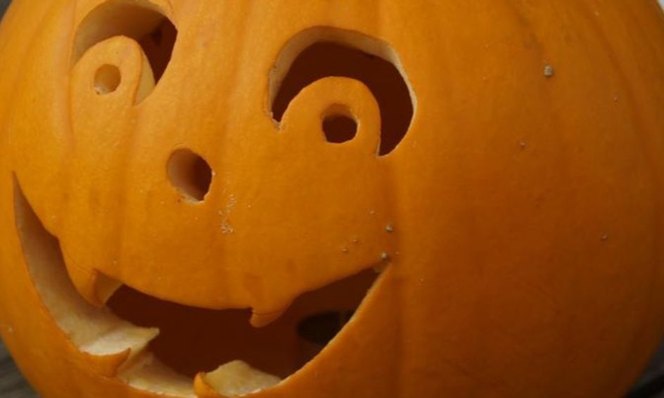 Recognize Letters Halloween Theme Small Online Class For Ages 3 8 Outschool