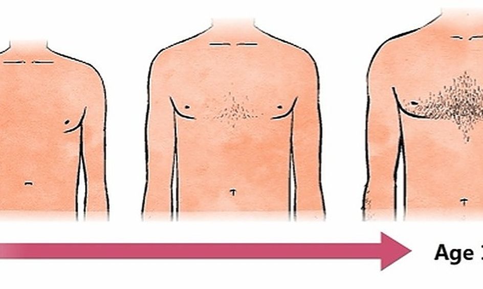 Body Smarts Bodies And Changes Puberty Bodies Relationships