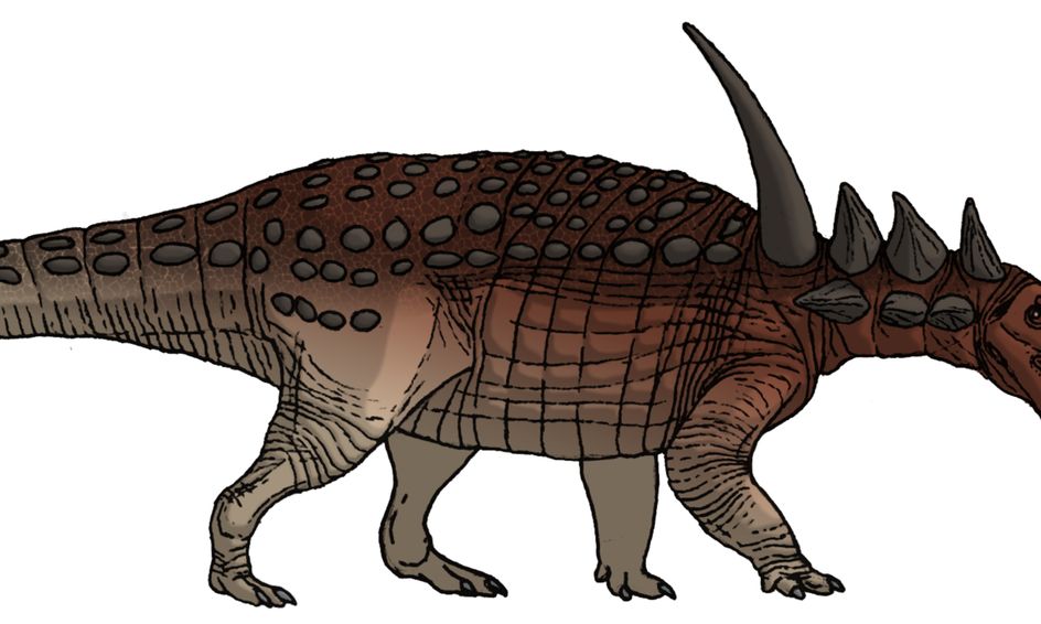 dinosaurs 101 national geographic