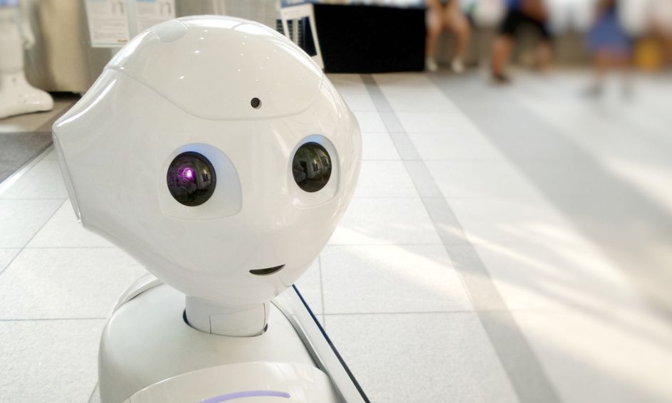 build a talking bot small online class for ages 7 12