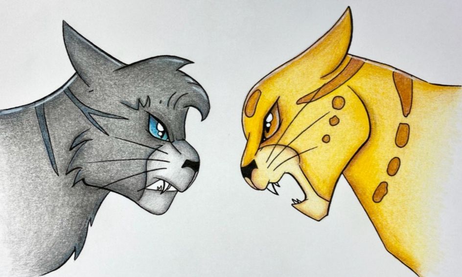 Draw Warrior Cats In Realistic And Manga Anime Styles Ongoing Warrior Cats Drawing Small Online Class For Ages 7 12 Outschool