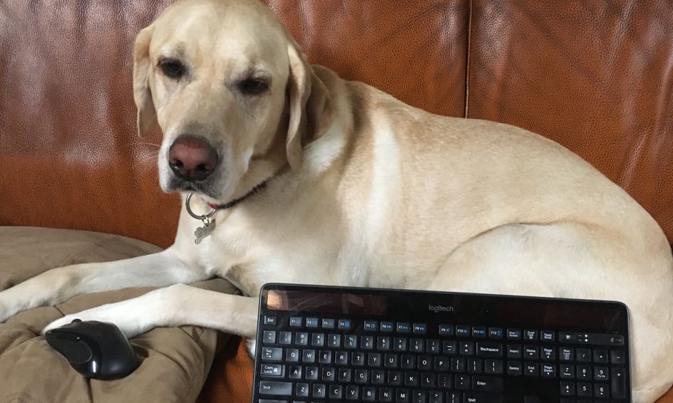 Computer Basics With Boomer Small Online Class For Ages 3 6 Outschool