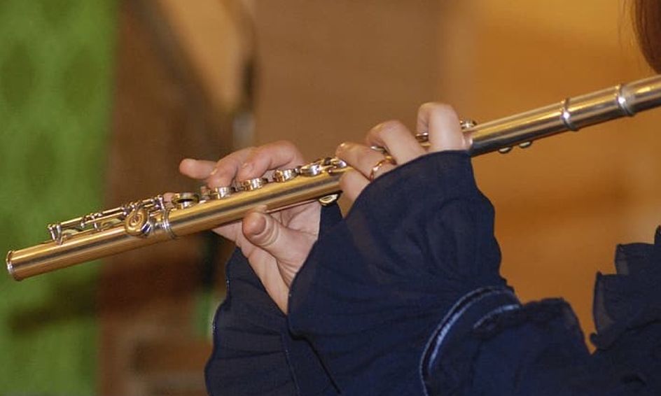 Flute Lessons (Beginner and Intermediate) Small Online Class for Ages