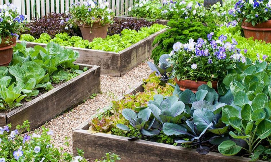 How To Grow A Garden Small Online Class For Ages 7 12 Outschool