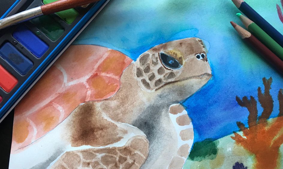 Under The Sea Art Club With Watercolor And Colored Pencil Small