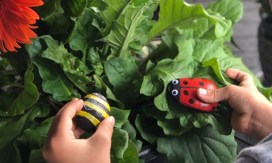 Garden Life Rock Painting Summer Camp Small Online Class For