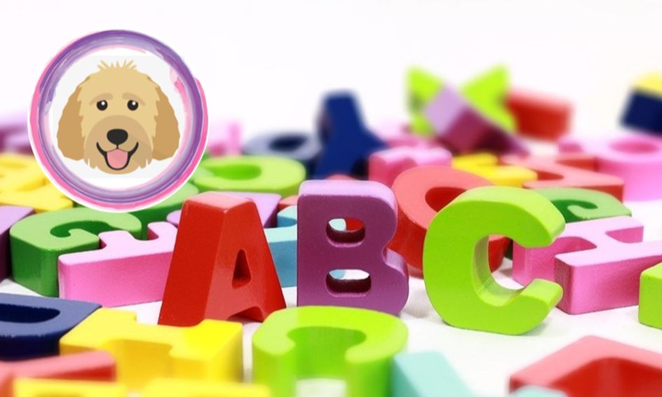 Listen With Lizzie Alphabet Story Time Dr Seuss S Abc Book Small Online Class For Ages 4 6 Outschool