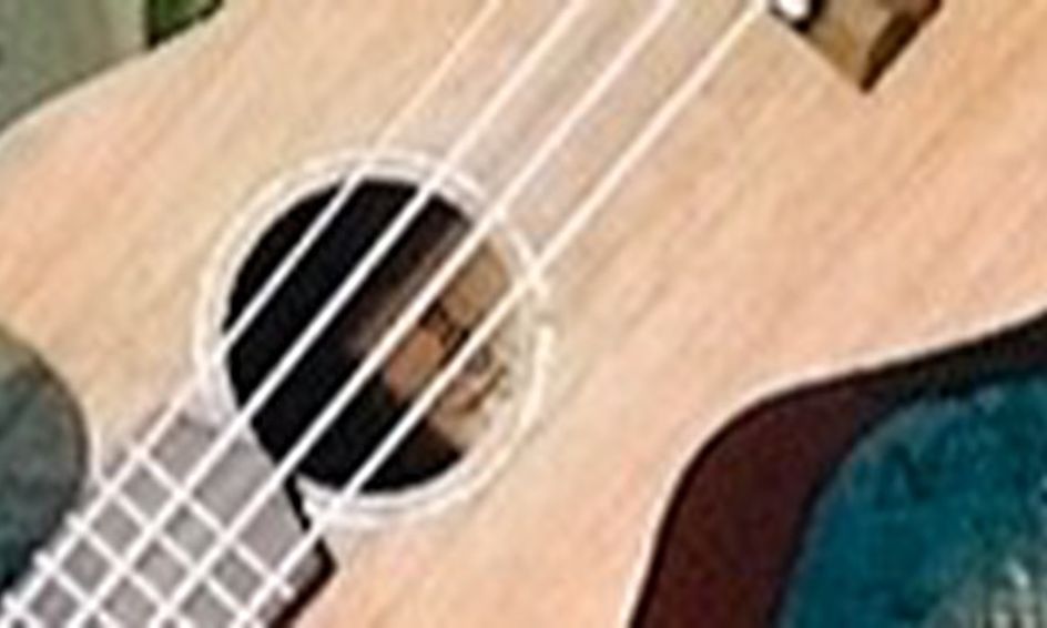 Lady Gaga On Ukulele Million Reasons Small Online Class For